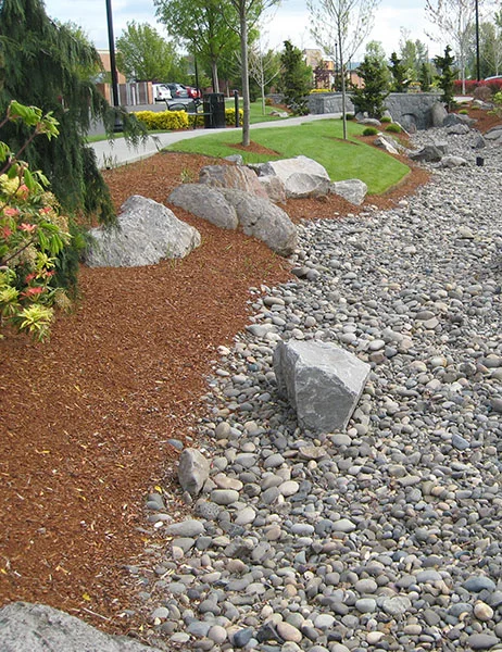 A landscaped area with a mixture of bark mulch and river rocks, featuring large boulders, small trees, and shrubs with a sidewalk and parked cars in the background.