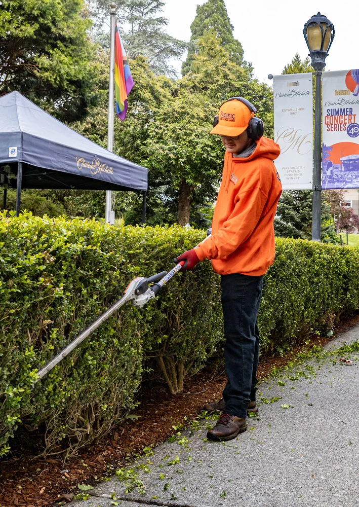 Person in orange hoodie and hat using a hedge trimmer on green bushes near pavement. Background includes pride flag, event banners, and pop-up tent with