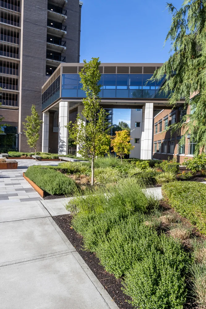 A modern building with a glass-walled skybridge connecting two sections. Landscaping features green bushes, small trees, and paved walkways in the foreground. Sunny day with a clear blue sky.