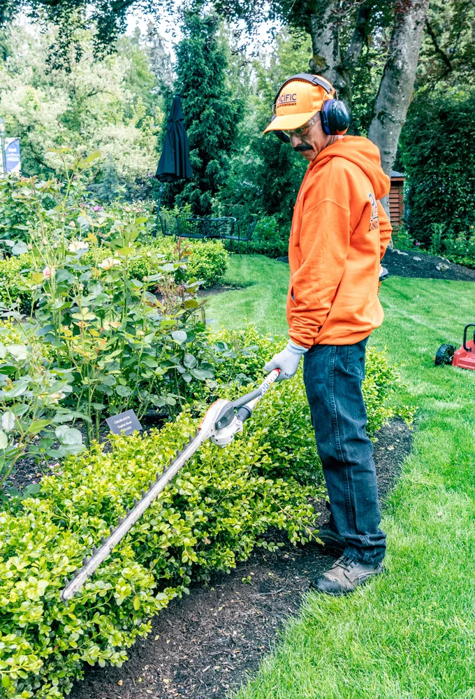 A person in an orange hoodie and cap, wearing earmuffs, uses a hedge trimmer to trim bushes in a garden. The garden is lush with various greenery, and a lawn mower is in the background.