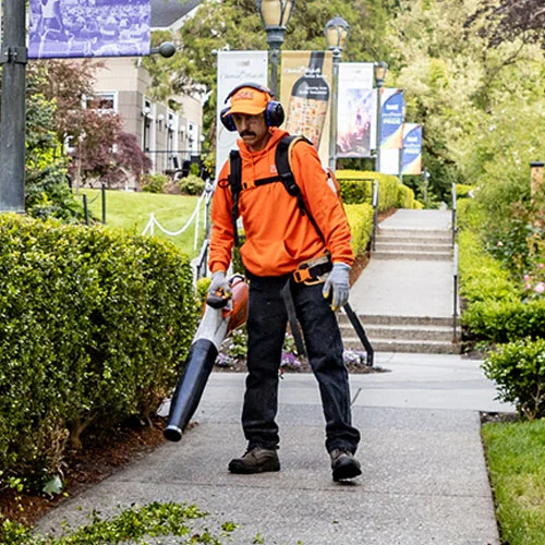 A worker in an orange hoodie and cap, wearing ear protection and gloves, uses a leaf blower on a pathway in a well-maintained public garden with bushes and stone steps in the background.