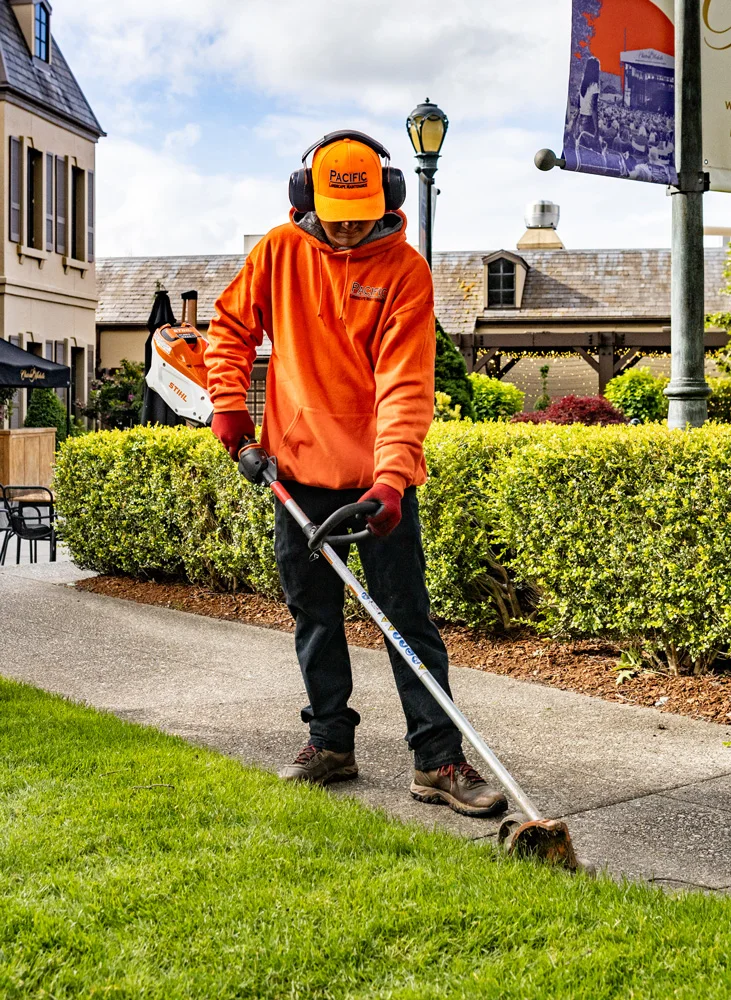 A person wearing an orange hoodie, hat, and ear protection operates a string trimmer along a sidewalk edged with green bushes in a landscaped area with buildings and a lamp post.