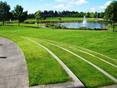 A well-maintained park with a large pond and fountain, surrounded by greenery and trees. Curved concrete paths and manicured grass areas can be seen in the foreground and background.