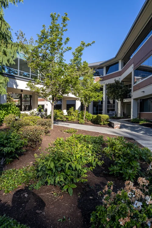 A courtyard with green shrubs, small trees, and a paved walkway surrounded by a multi-story building with large windows, under a clear blue sky.