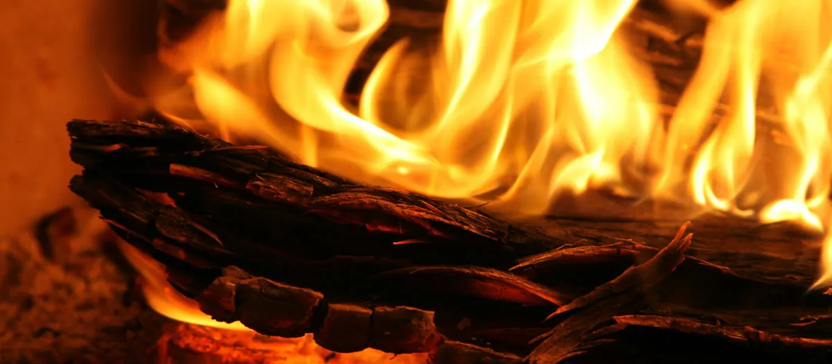 Close-up of a burning fire with bright, orange flames consuming dry, dark wood. The flames are intense and dynamic, creating an impression of warmth and energy.