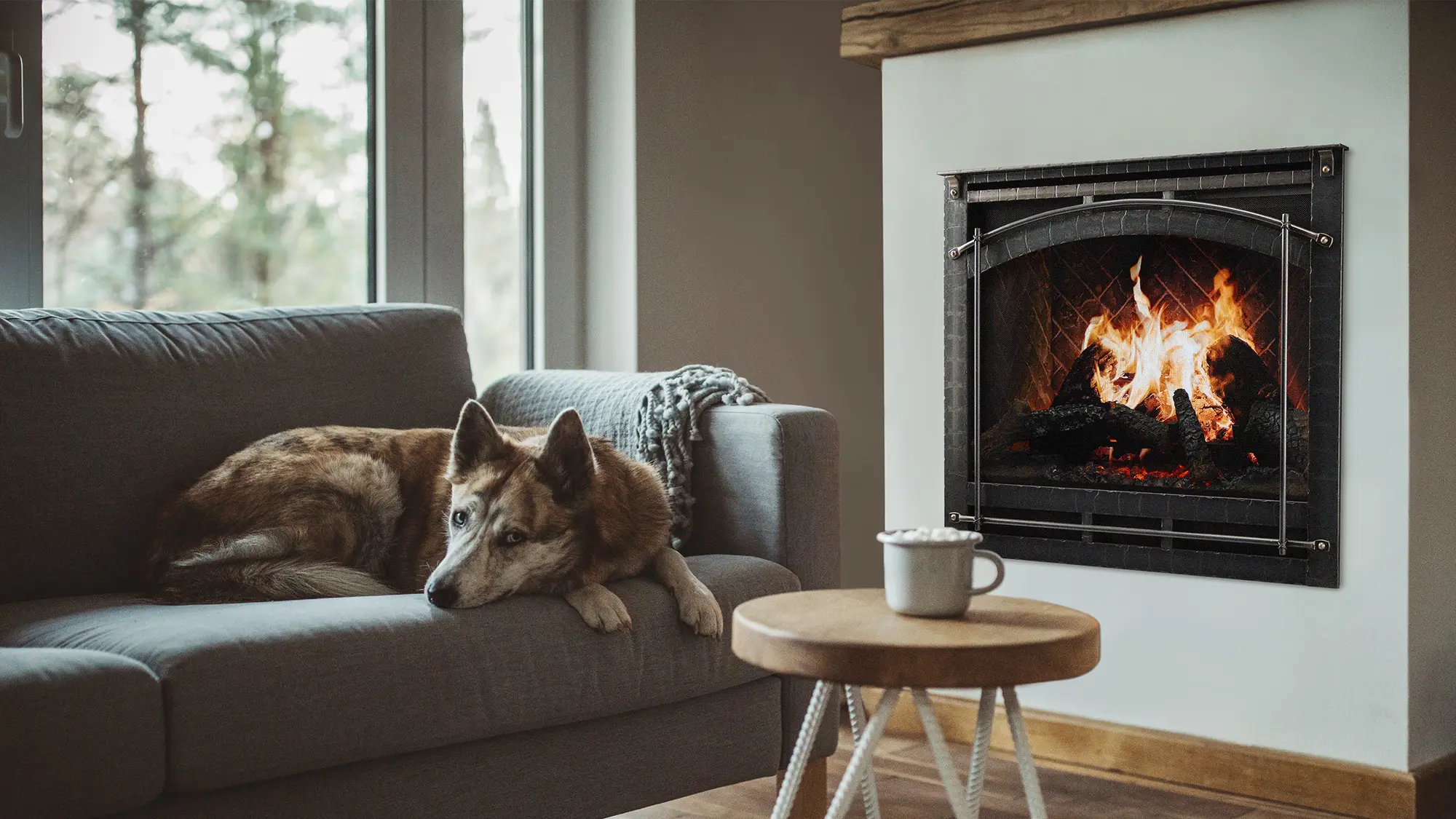 A dog lies on a gray sofa near a window with a blanket draped over the back. A wooden table with a mug is in front, and a lit fireplace is on the wall next to the sofa.