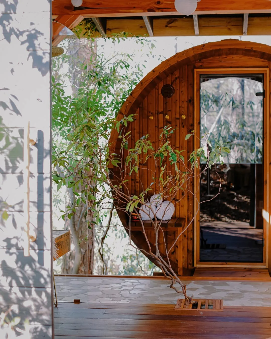 Round wooden sauna entrance with glass wall and a small tree growing through the deck