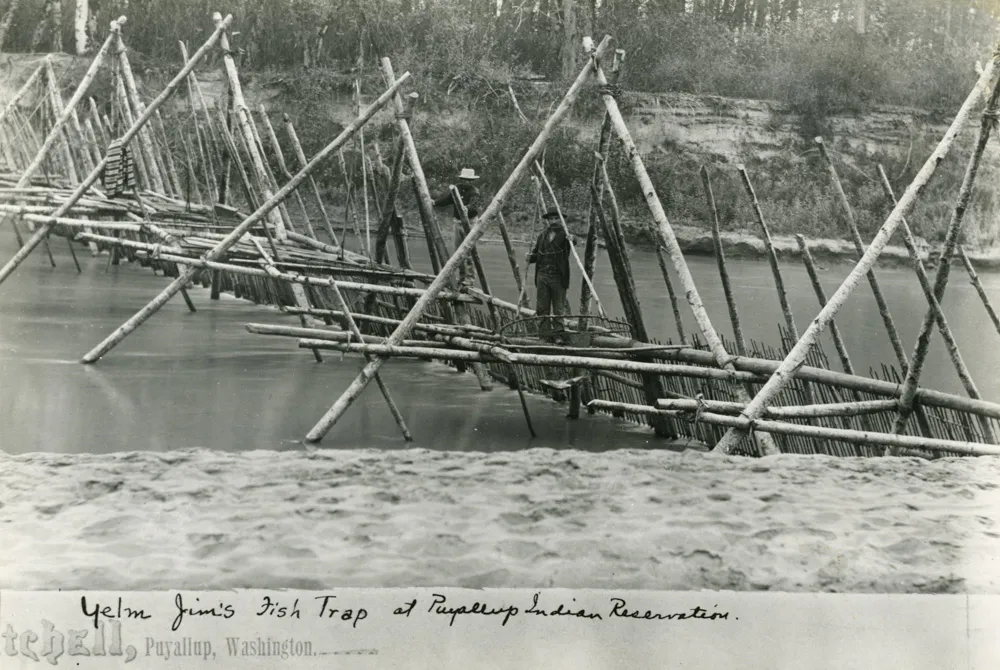 Historic black-and-white photo of a wooden fish trap spanning a river with two men on the framework.