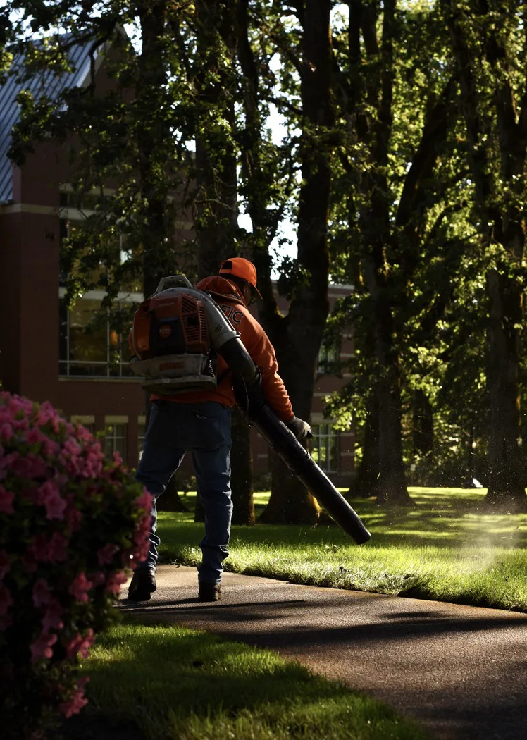 Landscaper in orange using a backpack leaf blower on a sunlit sidewalk beside trees and pink bushes
