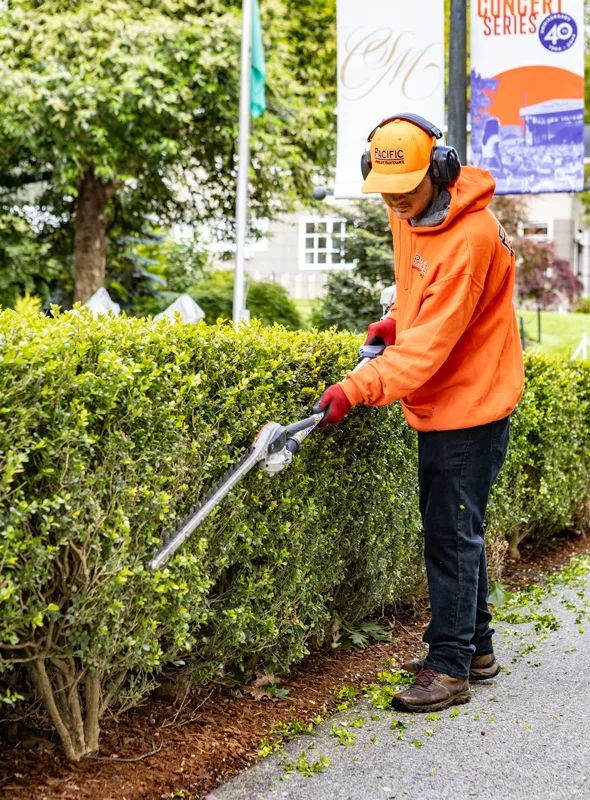 A person wearing an orange jacket and hat, protective earmuffs, and gloves is trimming a hedge with electric shears in front of a garden area. A flag and banners are visible in the background.
