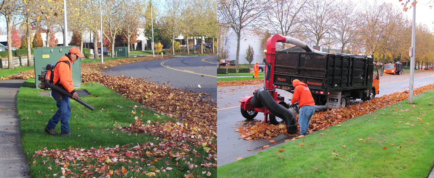 A worker uses a leaf blower on a lawn by a roadway in fall, while another worker collects leaves with a vacuum attached to a truck, surrounded by fallen autumn leaves.