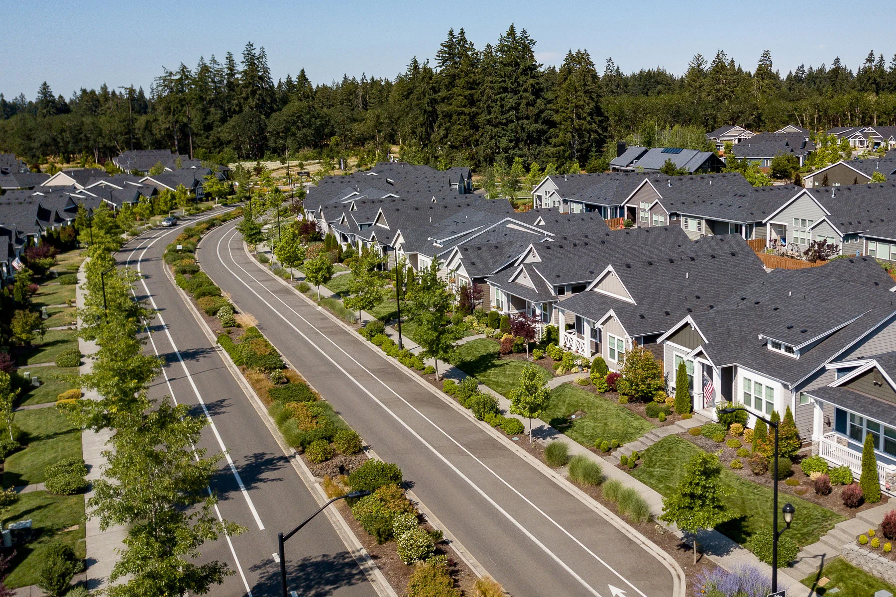 Aerial view of a suburban neighborhood with rows of modern single-family homes, tree-lined streets, manicured lawns, and a winding road. There is a forested area in the background.