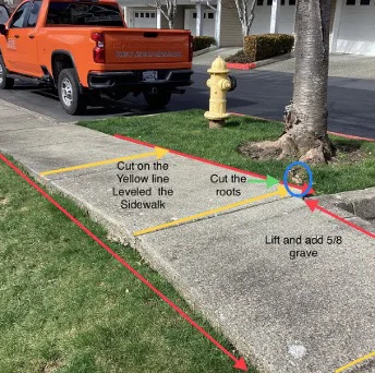 A sidewalk near a tree is marked with lines for repair. Instructions include: 