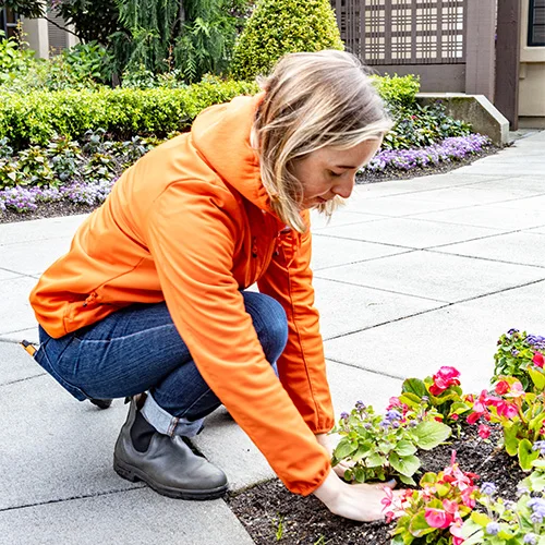 A person with light hair wearing an orange jacket, blue jeans, and gray boots is crouching down in a garden, tending to colorful flowers near a paved walkway with greenery in the background.
