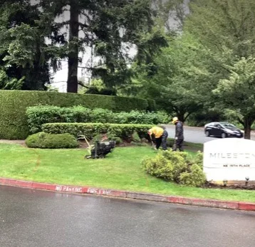 Two workers in yellow uniforms maintain a grassy area near a hedge and a sign that reads 
