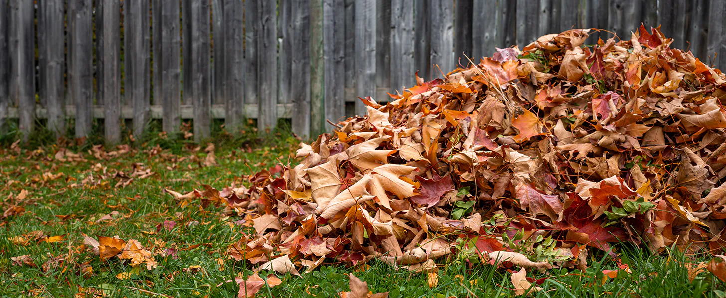 Pile of colorful autumn leaves on green grass in front of a wooden fence. The leaves vary in shades of orange, red, and brown, creating a vibrant seasonal scene.