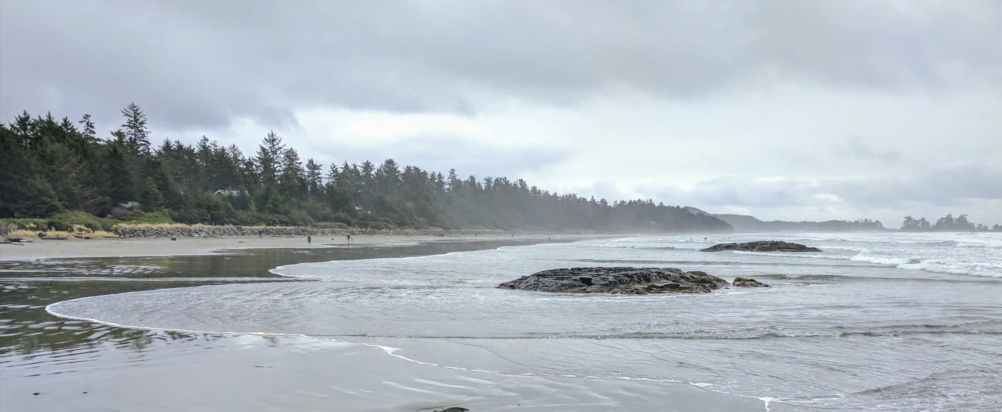 Overcast beach scene with gentle waves, rocky outcrops, and distant shoreline lined with dense evergreen trees. A few people walk along the damp sand under a cloudy sky.