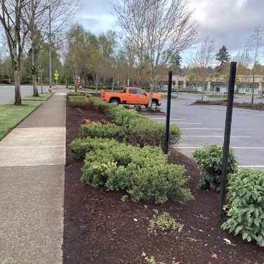 A parking lot with an orange truck parked alongside a hedge separating it from a sidewalk. Trees and a building are in the background under a cloudy sky.
