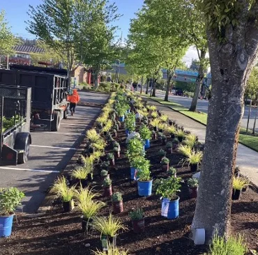 Rows of various potted plants arranged on soil along a pathway in a park or urban setting. A person in an orange shirt and vehicles are visible in the background.