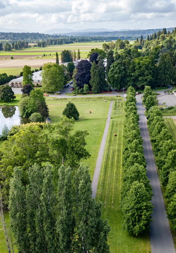 Aerial view of a landscaped park with a path, densely packed trees, a small pond, and distant fields under a cloudy sky. Buildings, parking lot, and cars are visible in the background.