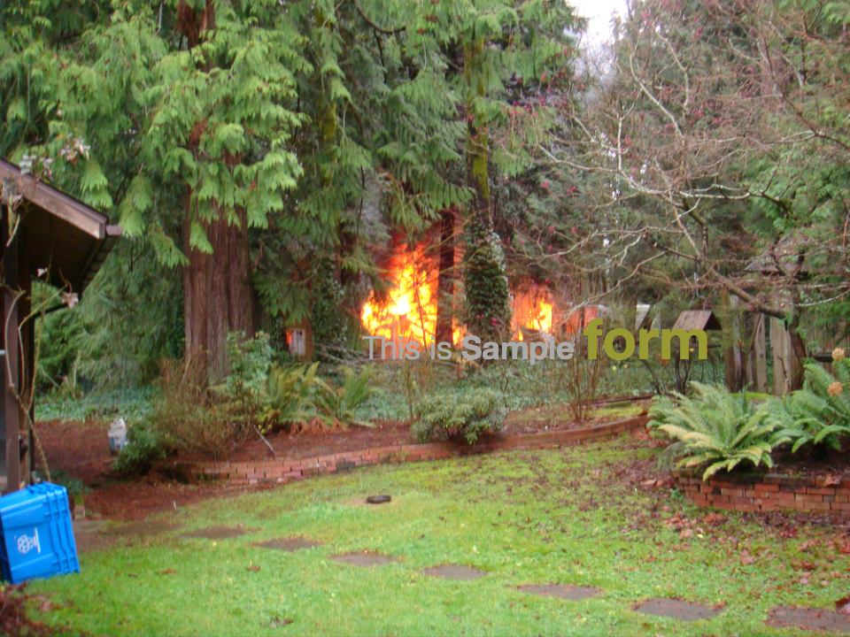 A small fire burns in a forested area surrounded by tall green trees. A blue recycling bin and a brick pathway are visible in the foreground. Text overlay reads 
