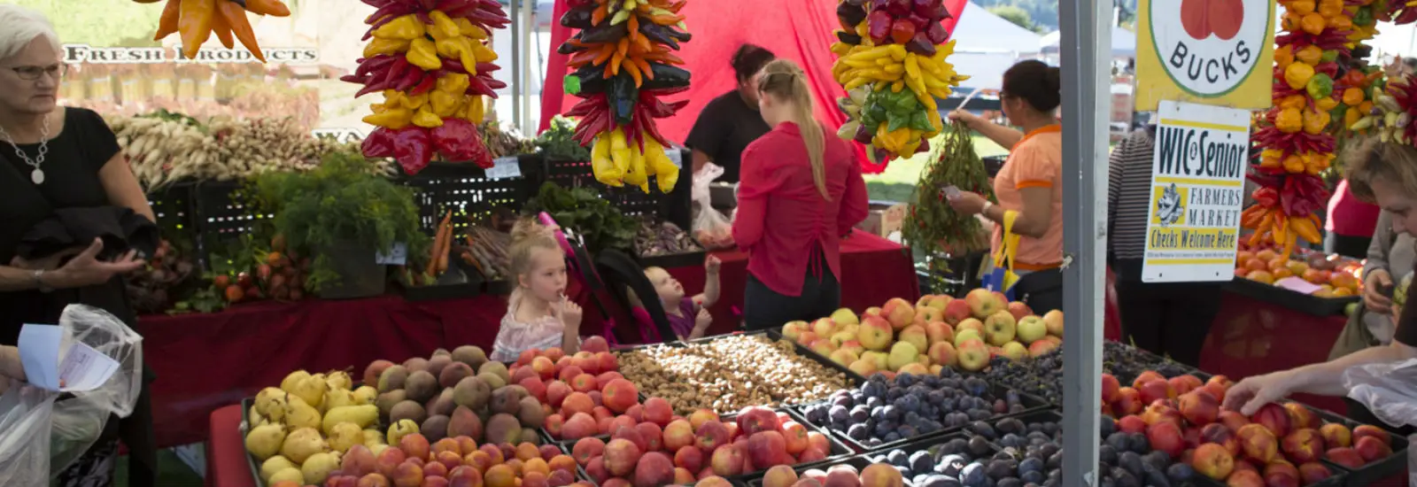 Farmers market scene with colorful produce, including apples, pears, and plums. People shop under hanging chili peppers, red and yellow, in a lively outdoor setting.