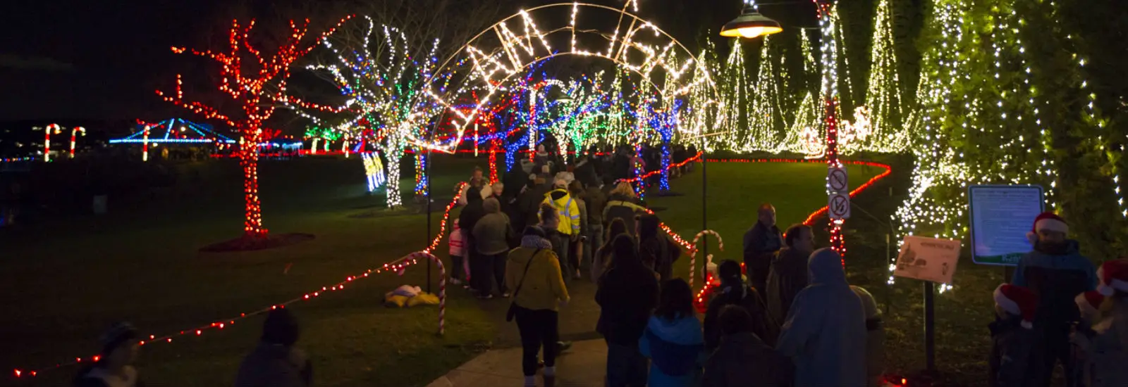 People walk through a festive display of colorful holiday lights adorning trees and archways in a park at night.